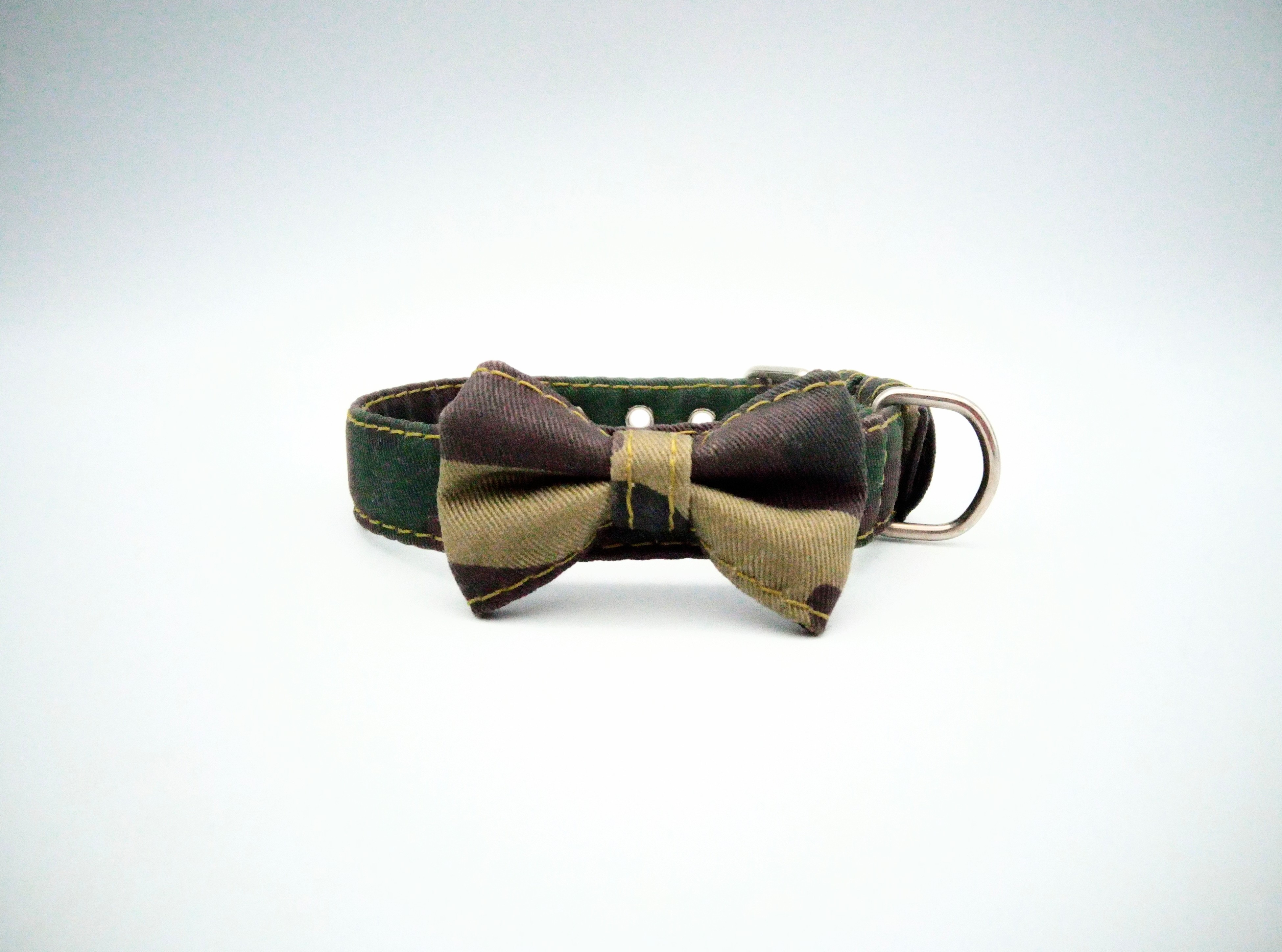 Collar Hebilla Classic